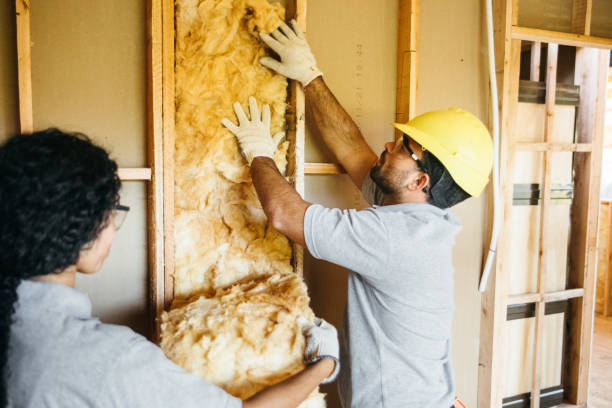 Best Local Insulation Services  in Coeburn, VA