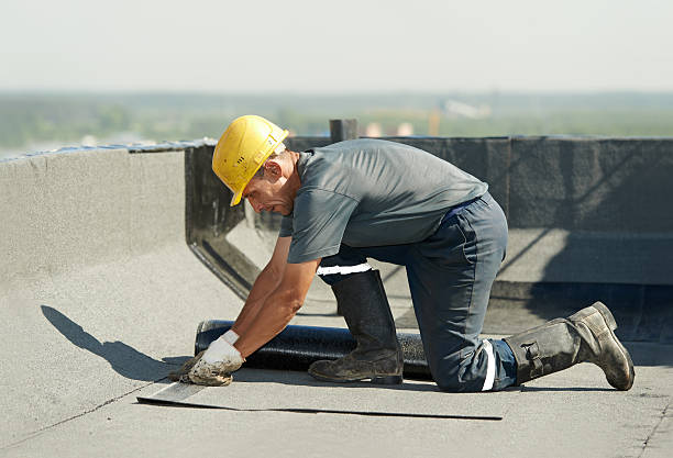 Best Local Insulation Services  in Coeburn, VA