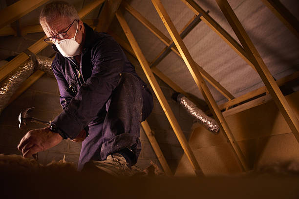 Best Attic Insulation Installation  in Coeburn, VA